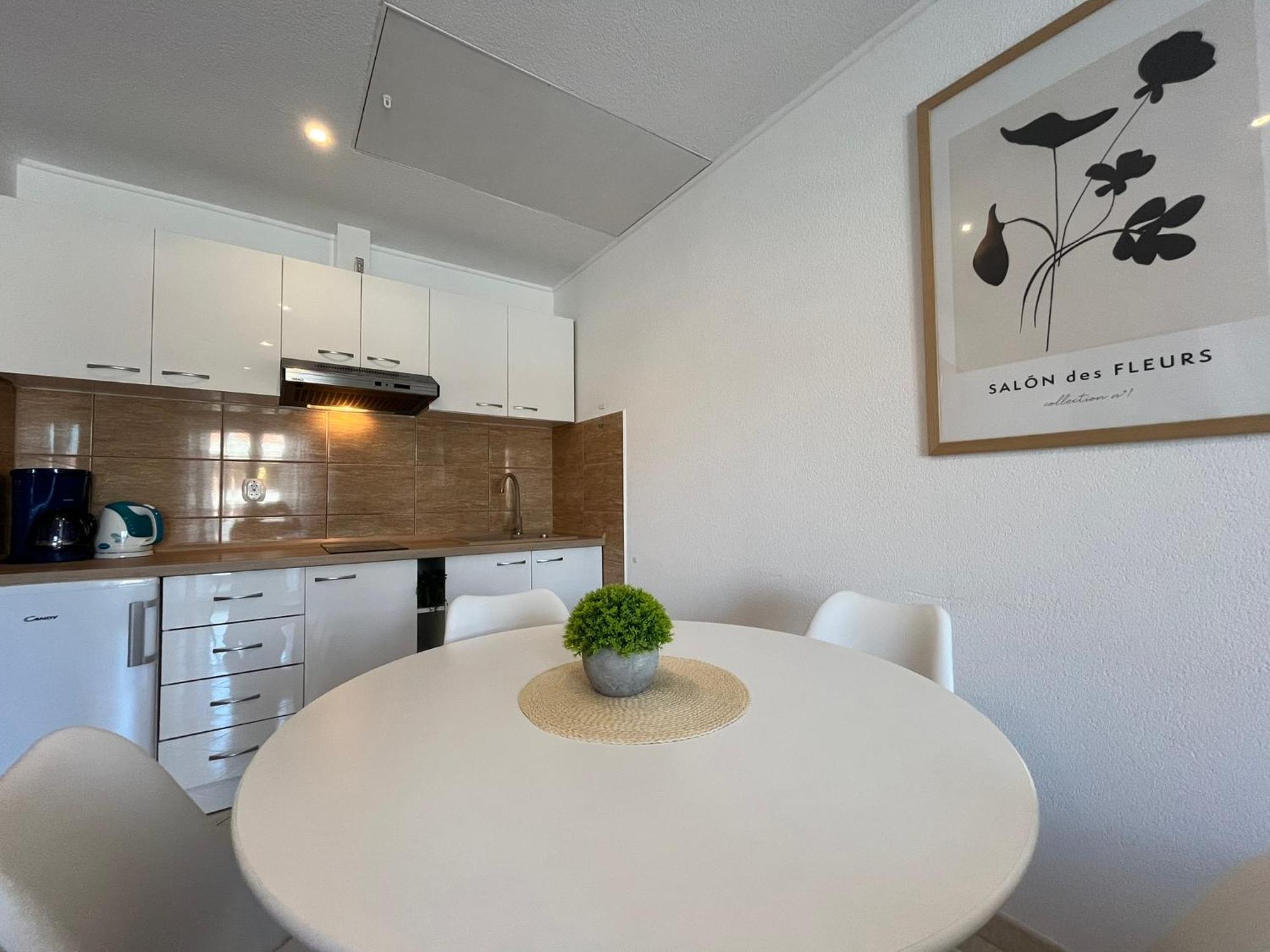 Apartments Contessa Novigrad  Exterior photo